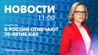 Новости Петербурга к 11:00