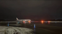 Первый самолет из Дубая приземлился в Петербурге