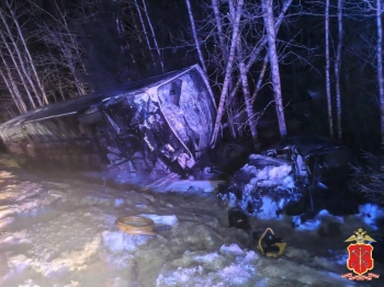 Трое из пятнадцати пассажиров перевернувшегося под Приозерском автобуса получили травмы средней тяжести