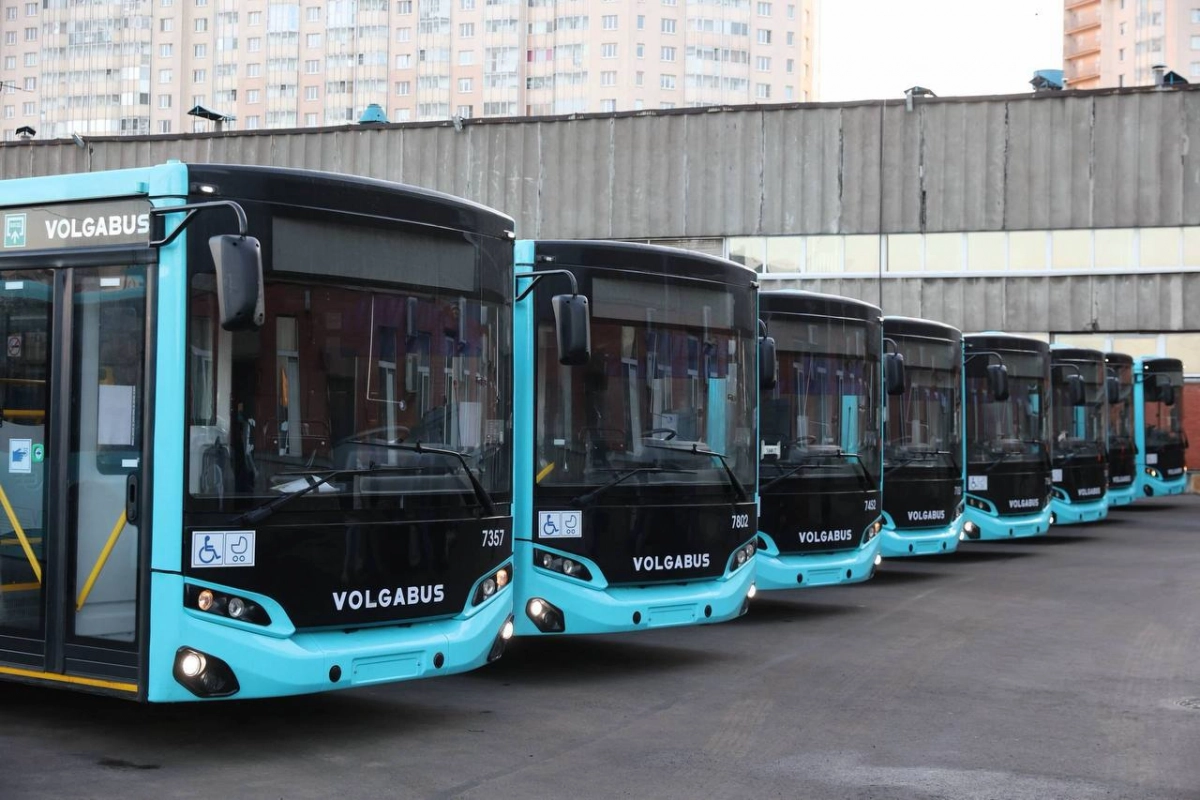 В Петербург поступили 8 новых автобусов-«гармошек» Volgabus - tvspb.ru