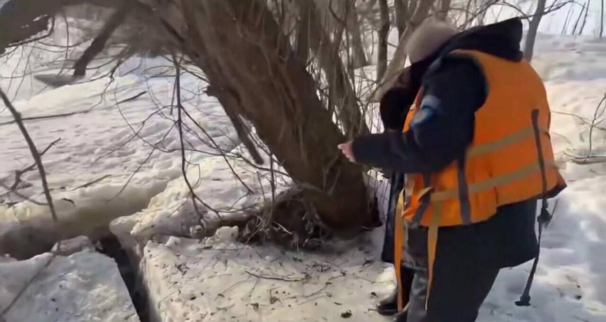 Третьего пропавшего в Звенигороде ребенка ищут подо льдом с помощью эхолота - tvspb.ru