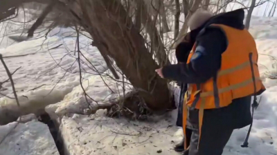 Третьего пропавшего в Звенигороде ребенка ищут подо льдом с помощью эхолота