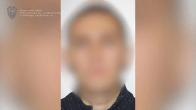 Утечки данных удалось избежать, но срок — реальный: в Петербурге осудили мужчину за разглашение гостайны