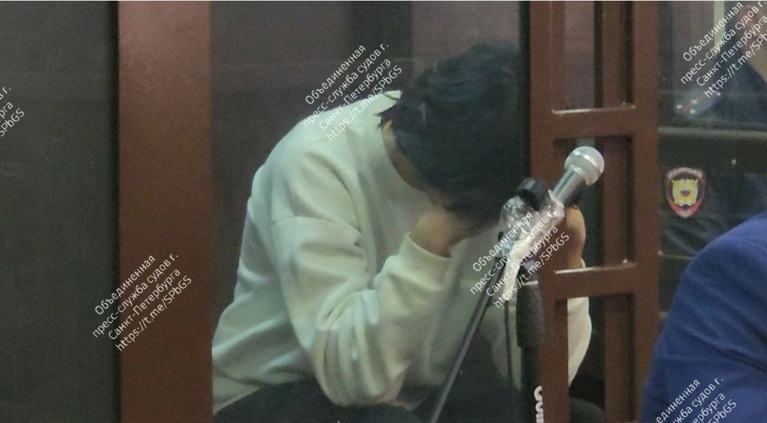 Суд отправил в СИЗО подростка за убийство и расчленение 17-летнего сверстника вблизи станции Кондакопшино - tvspb.ru