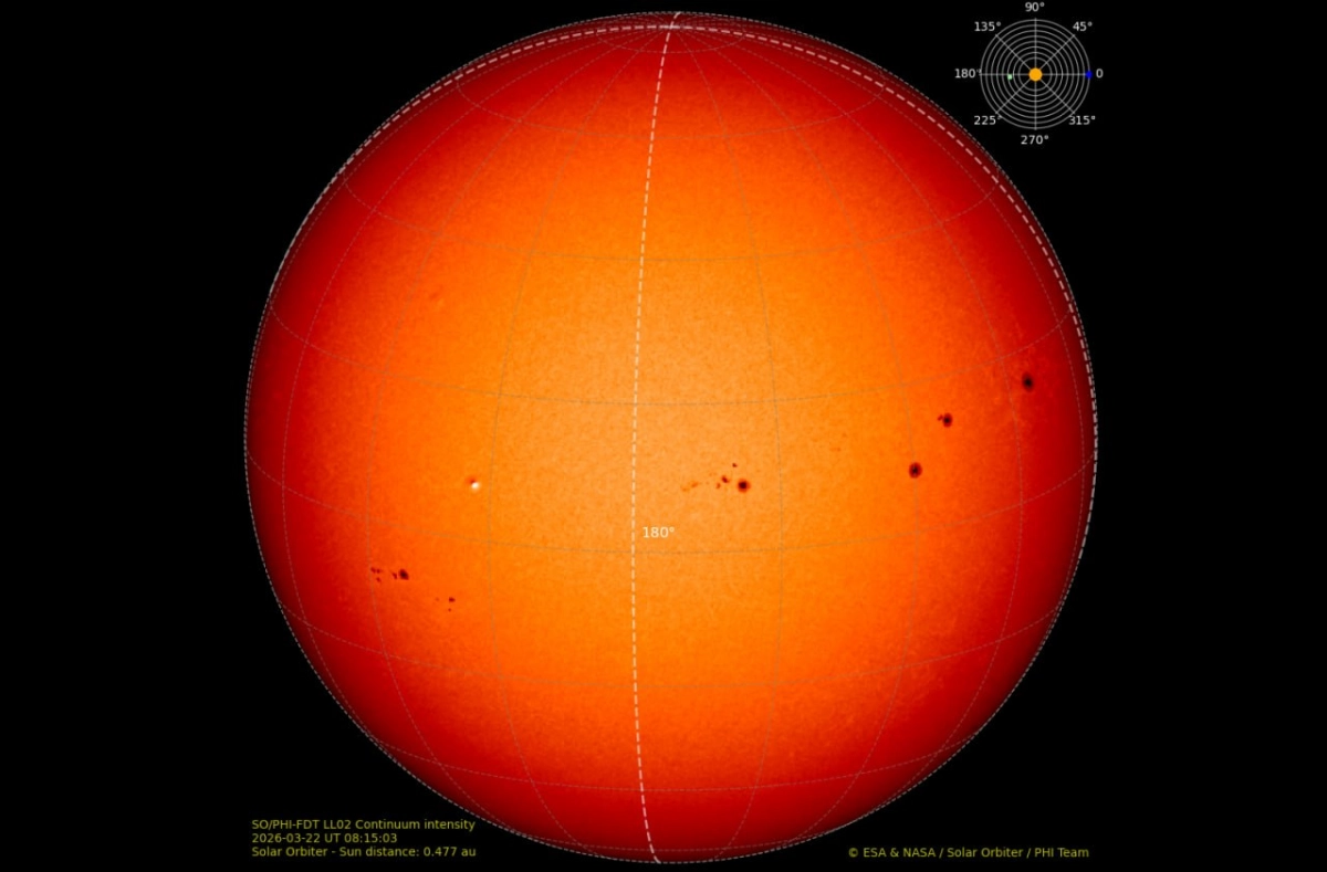 Солнце как на ладони: учёные показали, как выглядят обе стороны звезды одновременно - tvspb.ru