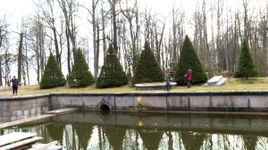 Без перерывов на просушку: парки Петергофа готовятся к сезону фонтанов и туристов