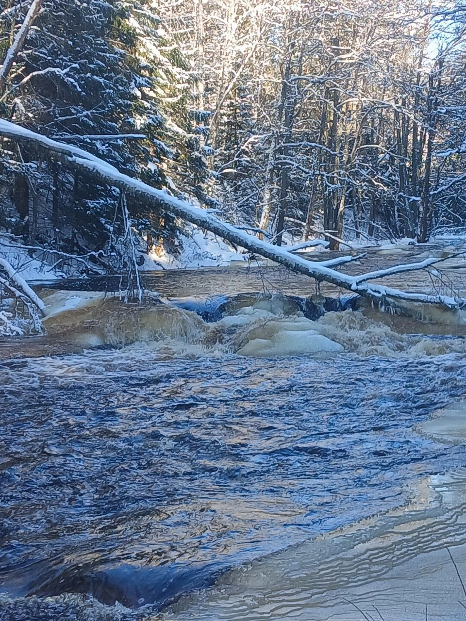 Московские ученые разработали мобильную ГЭС для получения энергии на быстрых реках без плотин - tvspb.ru