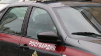В Выборге росгвардейцы задержали подростка за поджог газовой заправки