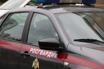 Юноша разбил голову женщине из-за замечания на остановке в центре Петербурга