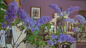 Порталы в весну: самые цветущие, душистые и уютные локации Петербурга