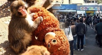 В Японии маленький Панч взрослеет, расставаясь с игрушечной мамой навсегда