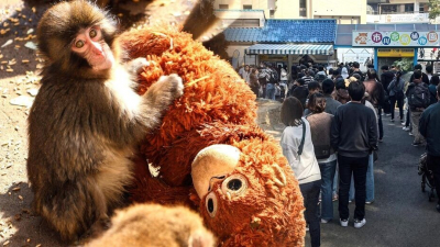 В Японии маленький Панч взрослеет, расставаясь с игрушечной мамой навсегда