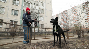 Предупреждён — значит вооружён. Как защитить питомца от атак догхантеров?