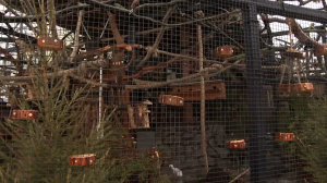 Новые интерьеры для белок и зайцев в зоопарке