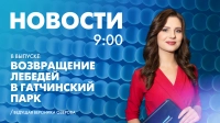 Новости Петербурга к 9:00
