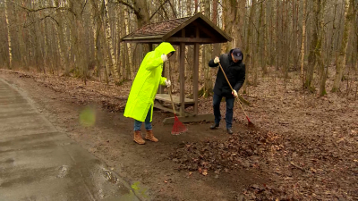 Как проходит экологический субботник в городских лесах Петербурга