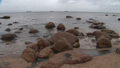 Ситуация под контролем: на побережье Финского залива в Кингисеппском районе оперативно устраняют скопление нефтепродуктов