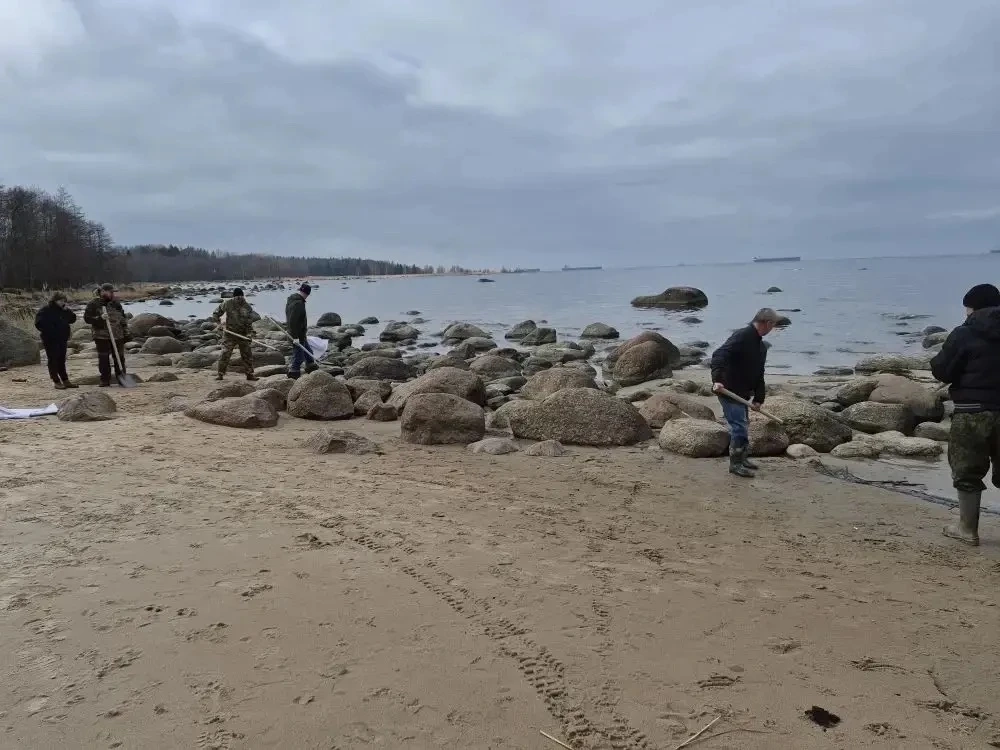 В Ленобласти на берегу Финского залива нашли скопление нефтепродуктов - tvspb.ru