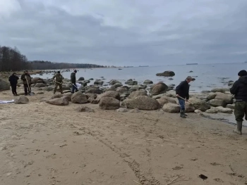 В Ленобласти на берегу Финского залива нашли скопление нефтепродуктов