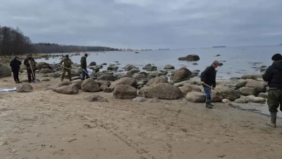 В Ленобласти на берегу Финского залива нашли скопление нефтепродуктов