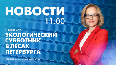 Новости Петербурга к 11:00