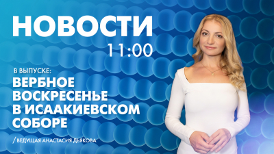 Новости Петербурга к 11:00