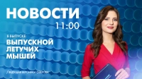 Новости Петербурга к 11:00