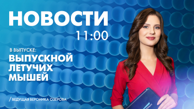 Новости Петербурга к 11:00