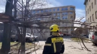 В Петербурге из-за ветра рухнули 39 деревьев: МЧС подвело итоги дня 8 апреля