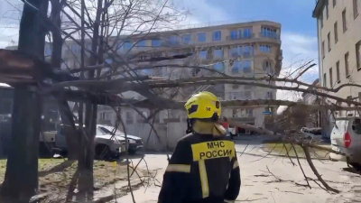 В Петербурге из-за ветра рухнули 39 деревьев: МЧС подвело итоги дня 8 апреля