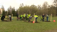 В Полюстровском парке дали старт общегородской посадке деревьев