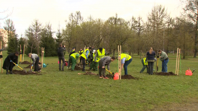 В Полюстровском парке дали старт общегородской посадке деревьев