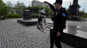 Не только зафиксировать правонарушение, а предупредить его. Добровольные народные дружины