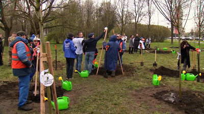 Александр Беглов напомнил о Дне благоустройства, который пройдет 25 апреля, и пригласил принять в нем участие