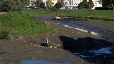 Экологи приступили к заключительному этапу очистки русла реки Новой в Кировском районе