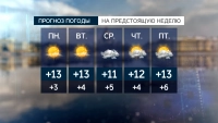 Уже точно весна: какая погода ждёт Петербург на следующей неделе