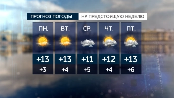 Уже точно весна: какая погода ждёт Петербург на следующей неделе