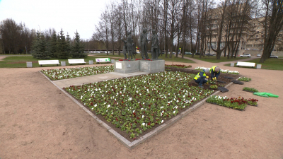 Цветы к празднику: в преддверии Дня Победы на проспекте Непокорённых высадят более 100 тысяч виол