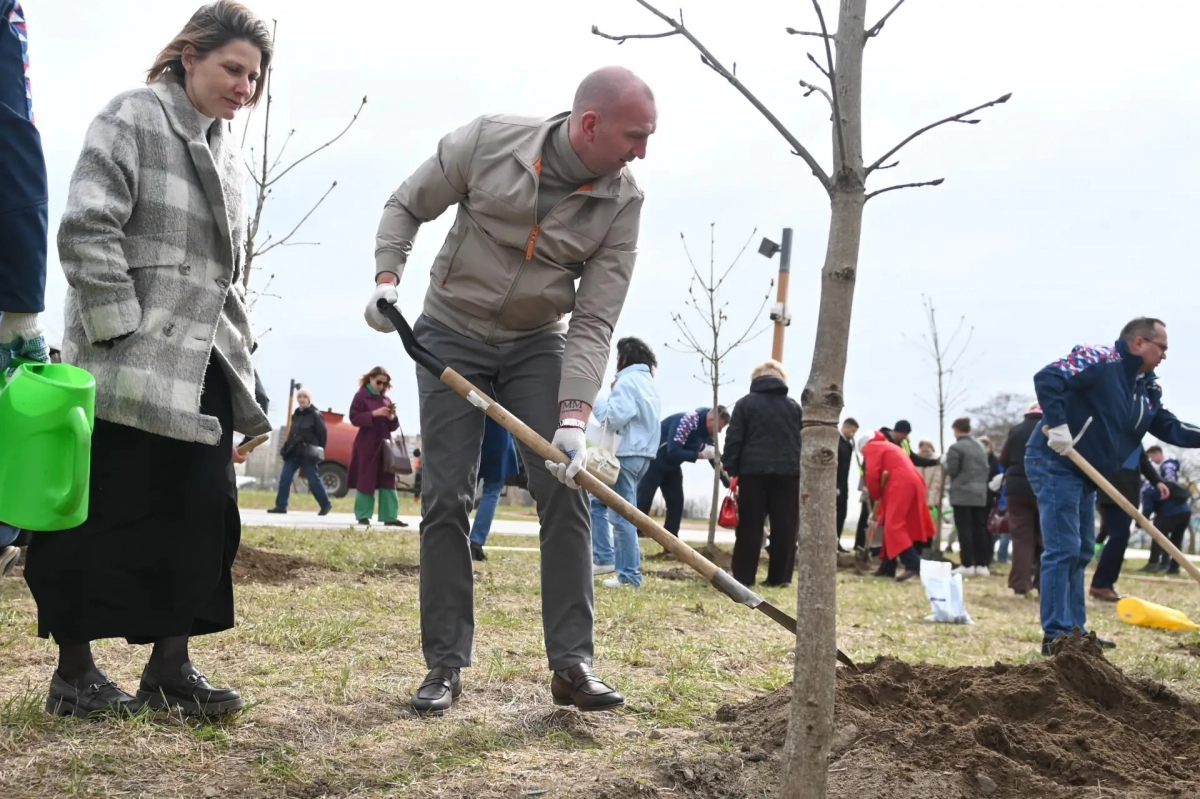 В Фёдоровском сквере заложена Каштановая аллея в честь 90-летия петербургского троллейбуса - tvspb.ru