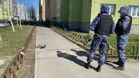 На тротуаре проспекта Маршака обнаружили FPV-дрон