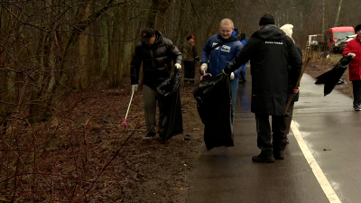 «За три года мусора здесь стало меньше»: в шести лесничествах Курортного района прошел экологический субботник