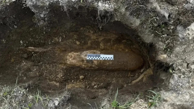 В Ленобласти уничтожили авиабомбу времён войны