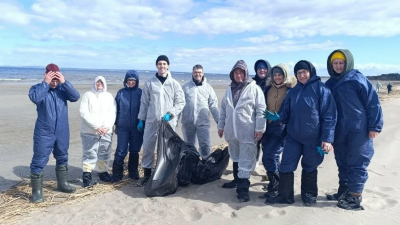 Из Кургальского заказника вывезли 65 мешков песка, загрязнённого мазутом