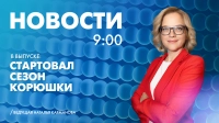 Новости Петербурга к 9:00