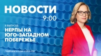 Новости Петербурга к 9:00