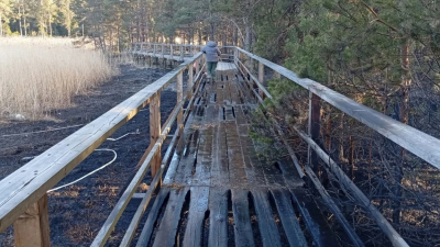 Огонь прошелся по настилу: неизвестные устроили пал травы в заказнике «Кургальский»