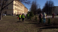 К месячнику благоустройства в Петербурге присоединились студенты и сотрудники городских предприятий