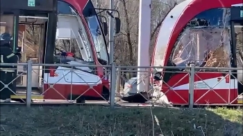 Пострадали шесть человек: обстоятельства аварии с участием двух трамваев в Красносельском районе выясняют полицейские