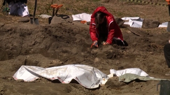 «Это не бойцы»: под Петербургом нашли захоронение мирных жителей, расстрелянных гитлеровцами