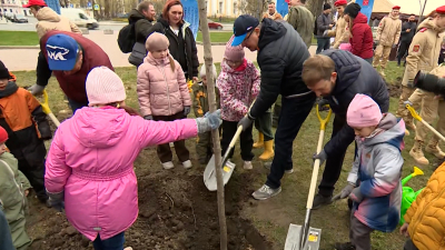 В сквере у спорткомплекса «Юбилейный» высадили клены и провели мастер-классы